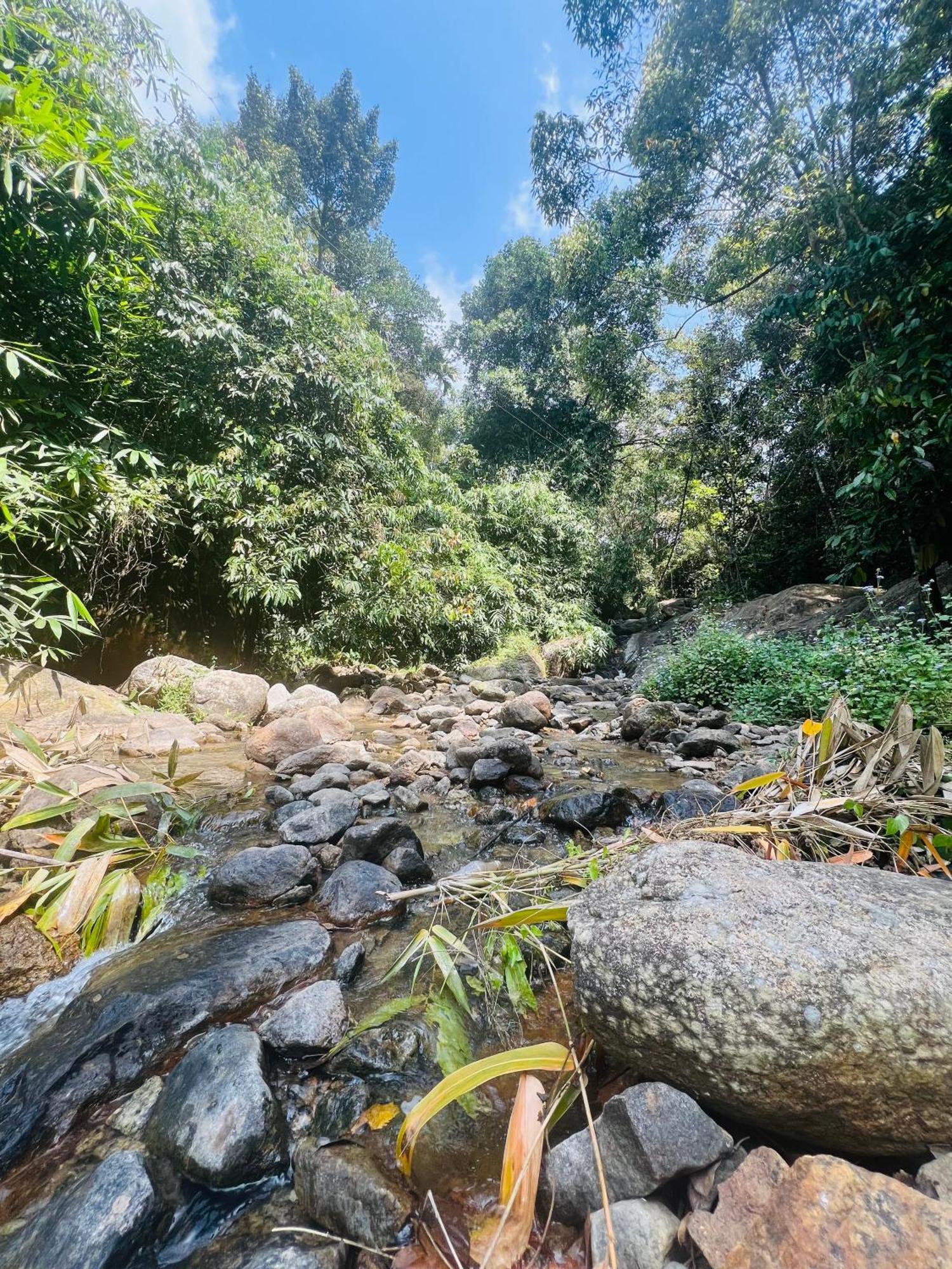 Mount Court Munnar Hotel Exterior photo